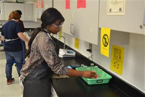 Shaik Lab