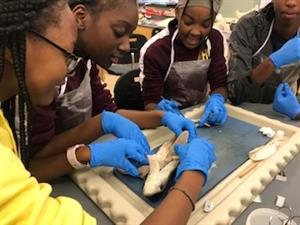 Science Club Science Club