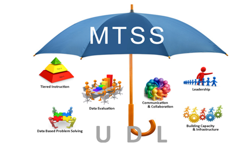 MTSS 